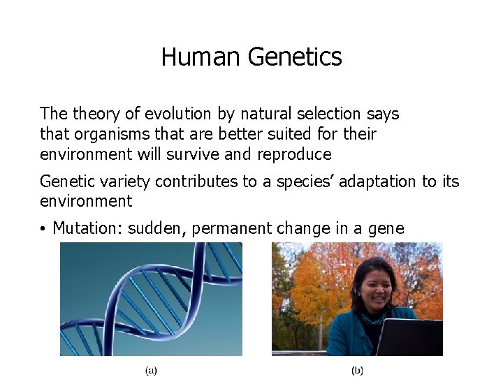 Human Genetics The theory of evolution by natural selection says that organisms that are