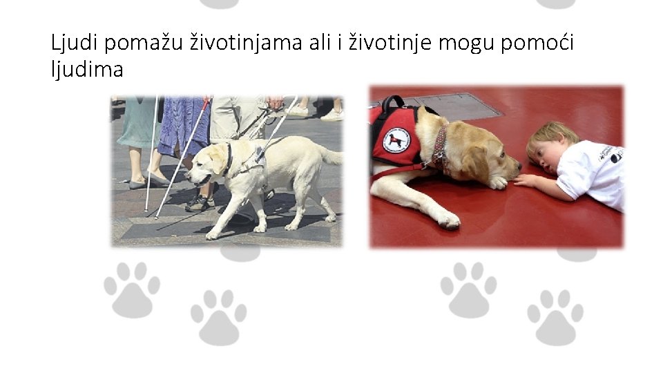 Ljudi pomažu životinjama ali i životinje mogu pomoći ljudima 