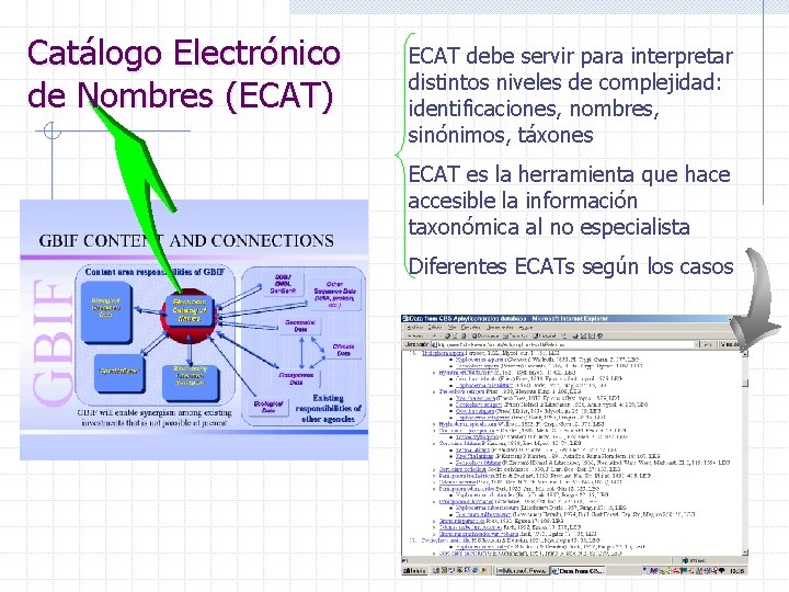 Catálogo Electrónico de Nombres (ECAT) ECAT debe servir para interpretar distintos niveles de complejidad: