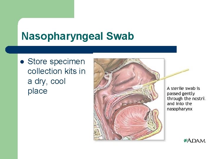 Nasopharyngeal Swab l Store specimen collection kits in a dry, cool place 