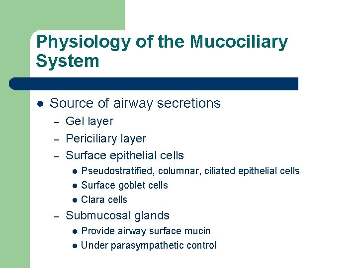 Physiology of the Mucociliary System l Source of airway secretions – – – Gel