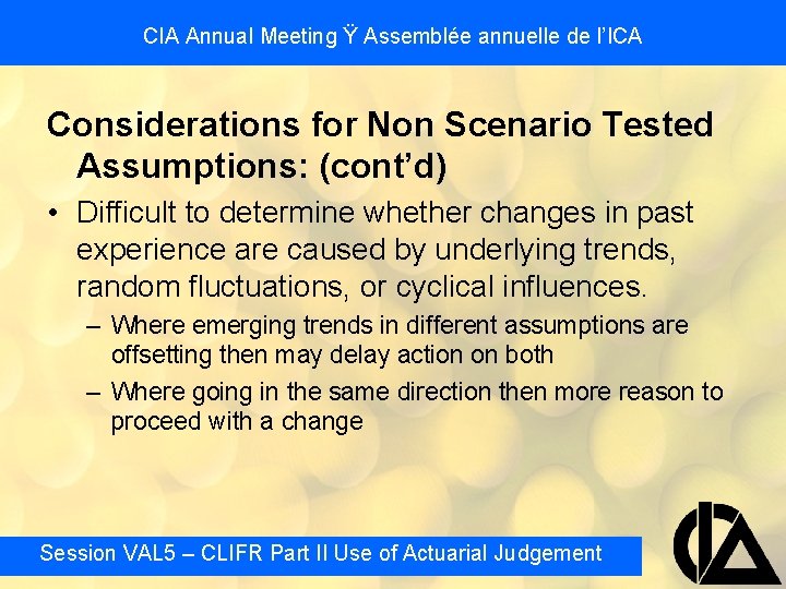 CIA Annual Meeting Ÿ Assemblée annuelle de l’ICA Considerations for Non Scenario Tested Assumptions: