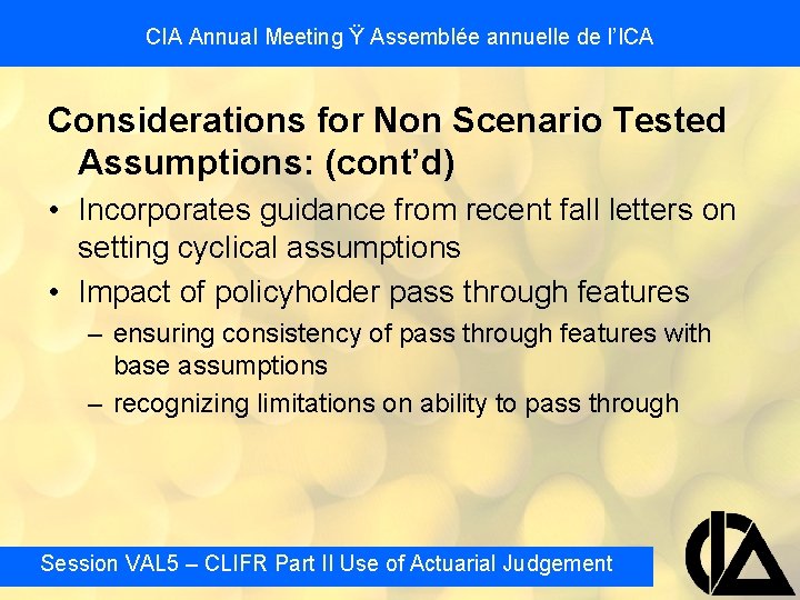 CIA Annual Meeting Ÿ Assemblée annuelle de l’ICA Considerations for Non Scenario Tested Assumptions: