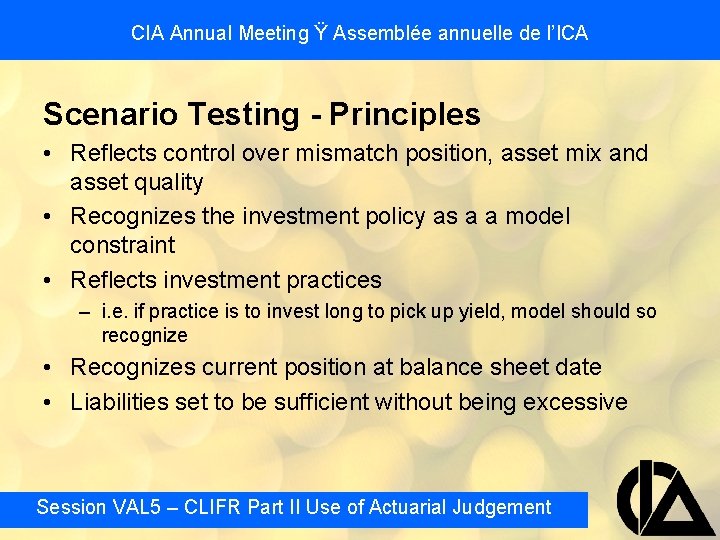 CIA Annual Meeting Ÿ Assemblée annuelle de l’ICA Scenario Testing - Principles • Reflects