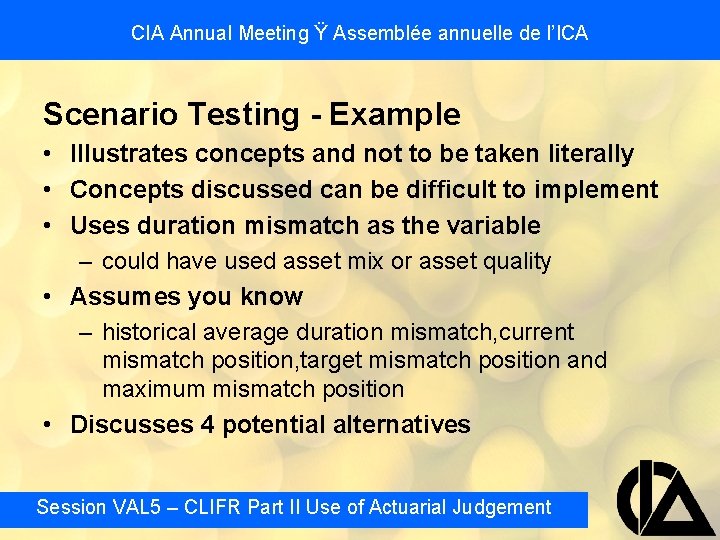 CIA Annual Meeting Ÿ Assemblée annuelle de l’ICA Scenario Testing - Example • Illustrates