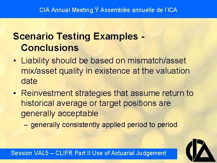 CIA Annual Meeting Ÿ Assemblée annuelle de l’ICA Scenario Testing Examples Conclusions • Liability