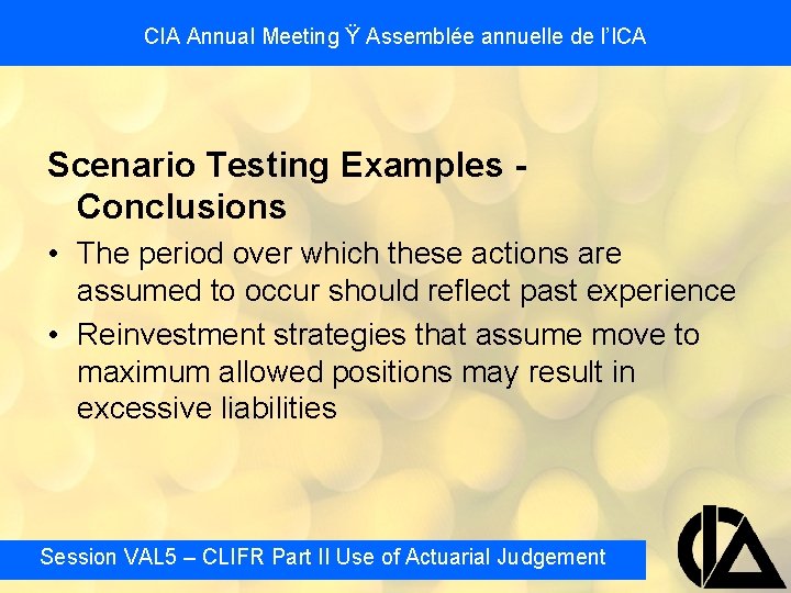CIA Annual Meeting Ÿ Assemblée annuelle de l’ICA Scenario Testing Examples Conclusions • The