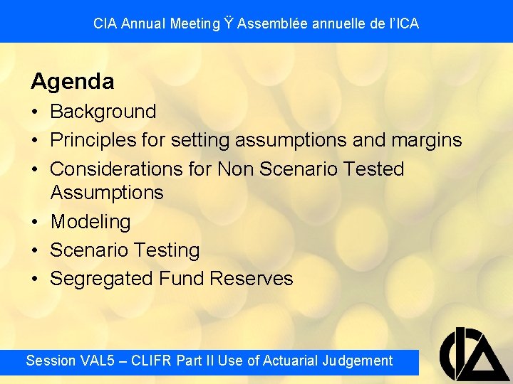 CIA Annual Meeting Ÿ Assemblée annuelle de l’ICA Agenda • Background • Principles for