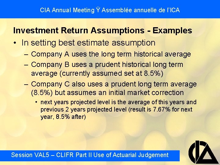 CIA Annual Meeting Ÿ Assemblée annuelle de l’ICA Investment Return Assumptions - Examples •