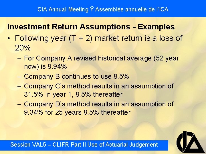 CIA Annual Meeting Ÿ Assemblée annuelle de l’ICA Investment Return Assumptions - Examples •