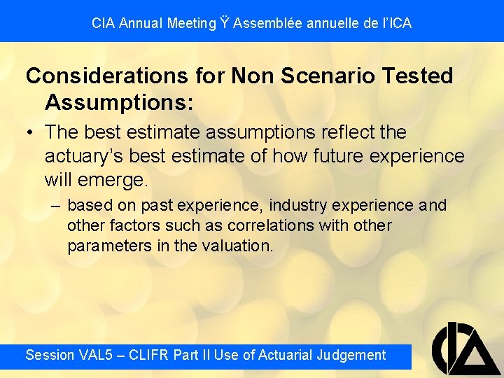 CIA Annual Meeting Ÿ Assemblée annuelle de l’ICA Considerations for Non Scenario Tested Assumptions: