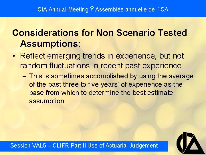 CIA Annual Meeting Ÿ Assemblée annuelle de l’ICA Considerations for Non Scenario Tested Assumptions: