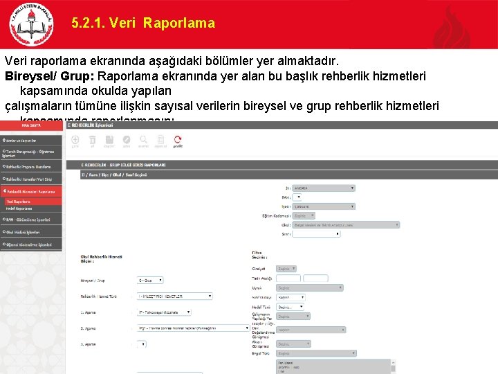 5. 2. 1. Veri Raporlama Veri raporlama ekranında aşağıdaki bölümler yer almaktadır. Bireysel/ Grup: