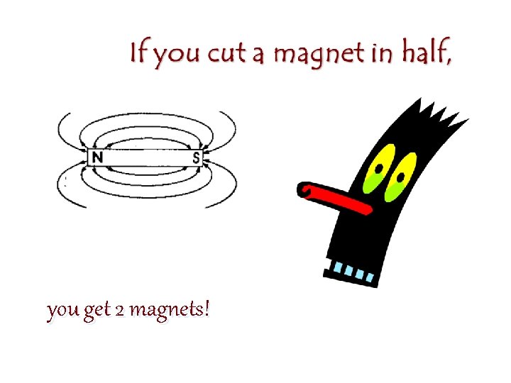 you get 2 magnets! 