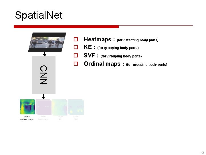 Spatial. Net CNN o o Heatmaps：(for detecting body parts) KE：(for grouping body parts) SVF：(for