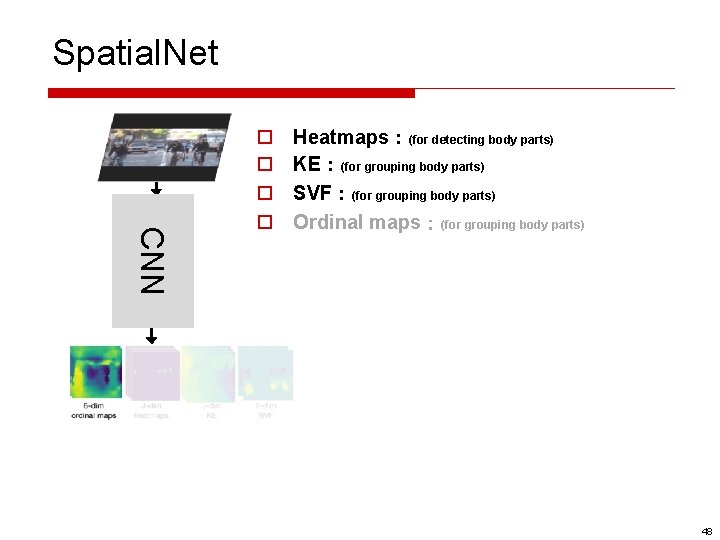 Spatial. Net CNN o o Heatmaps：(for detecting body parts) KE：(for grouping body parts) SVF：(for