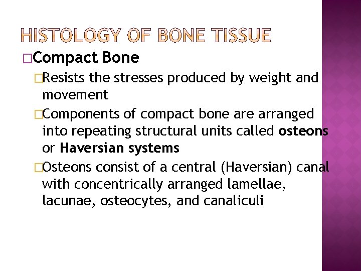 �Compact �Resists Bone the stresses produced by weight and movement �Components of compact bone