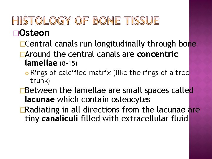 �Osteon �Central canals run longitudinally through bone �Around the central canals are concentric lamellae