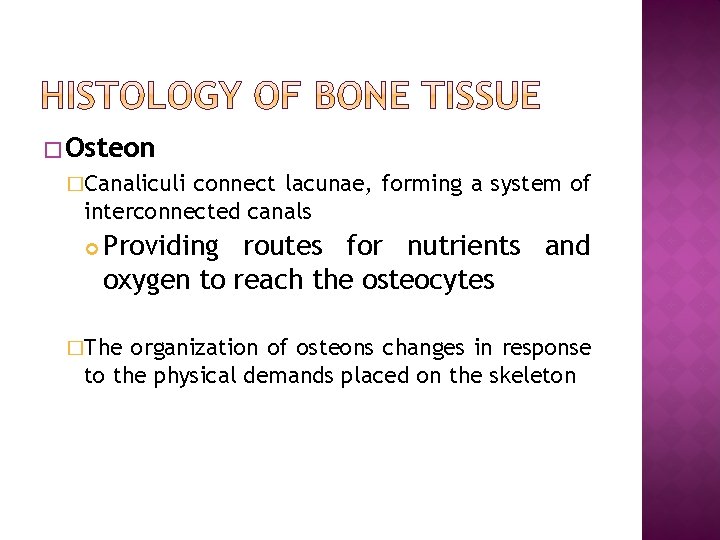 � Osteon �Canaliculi connect lacunae, forming a system of interconnected canals Providing routes for