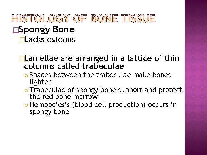 �Spongy Bone �Lacks osteons �Lamellae arranged in a lattice of thin columns called trabeculae