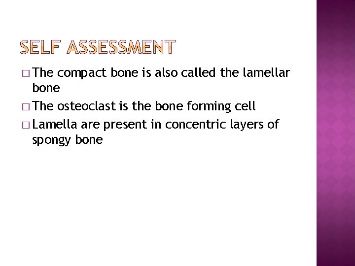 � The compact bone is also called the lamellar bone � The osteoclast is