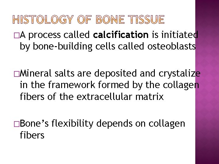 �A process called calcification is initiated by bone-building cells called osteoblasts �Mineral salts are