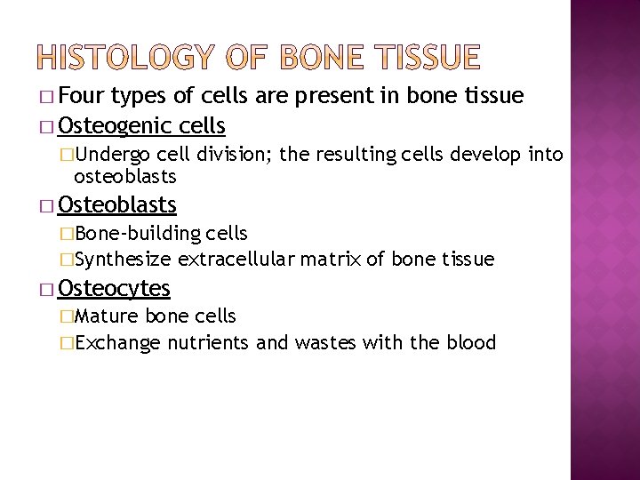 � Four types of cells are present in bone tissue � Osteogenic cells �Undergo