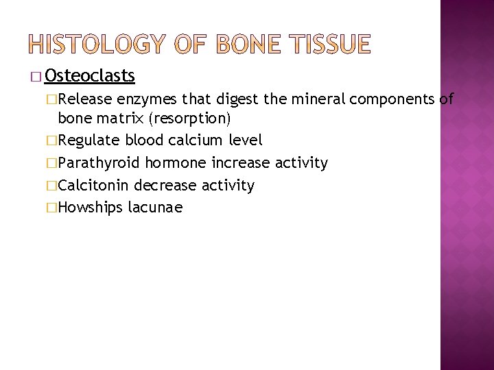 � Osteoclasts �Release enzymes that digest the mineral components of bone matrix (resorption) �Regulate