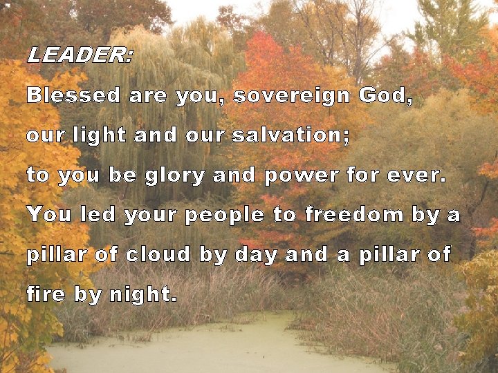 LEADER: Blessed are you, sovereign God, our light and our salvation; to you be