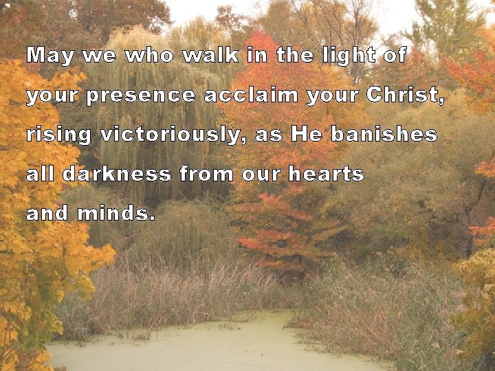 May we who walk in the light of your presence acclaim your Christ, rising