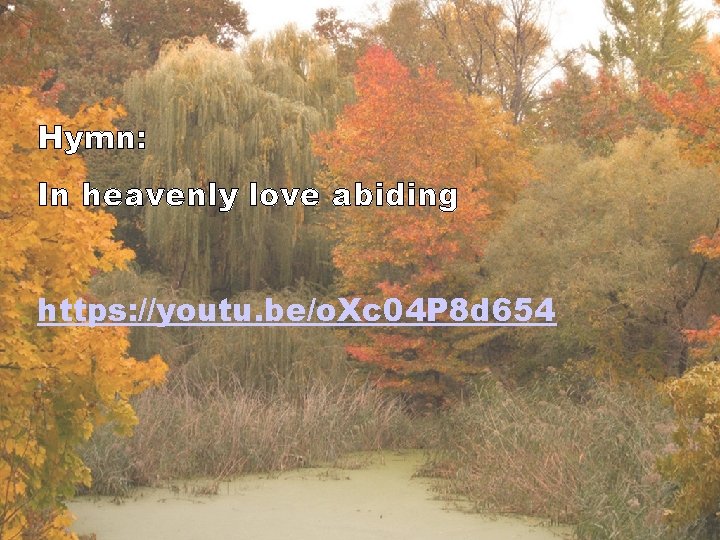 Hymn: In heavenly love abiding https: //youtu. be/o. Xc 04 P 8 d 654
