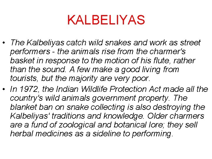 KALBELIYAS • The Kalbeliyas catch wild snakes and work as street performers - the