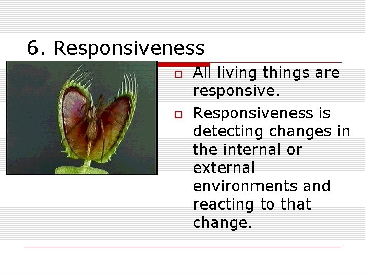 6. Responsiveness o o All living things are responsive. Responsiveness is detecting changes in