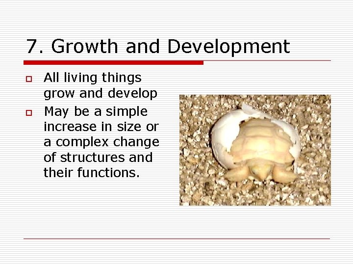 7. Growth and Development o o All living things grow and develop May be