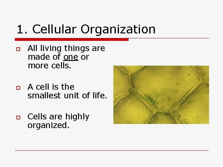 1. Cellular Organization o o o All living things are made of one or