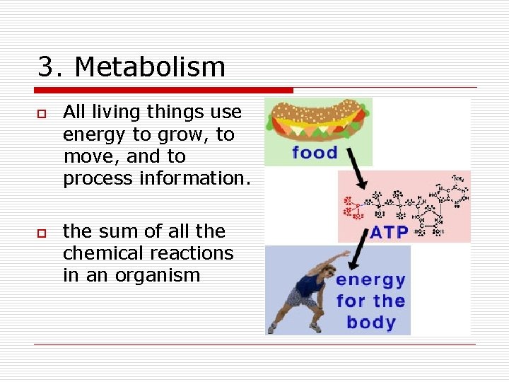 3. Metabolism o o All living things use energy to grow, to move, and