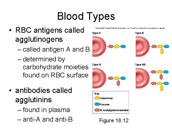 Blood Types • RBC antigens called agglutinogens – called antigen A and B –