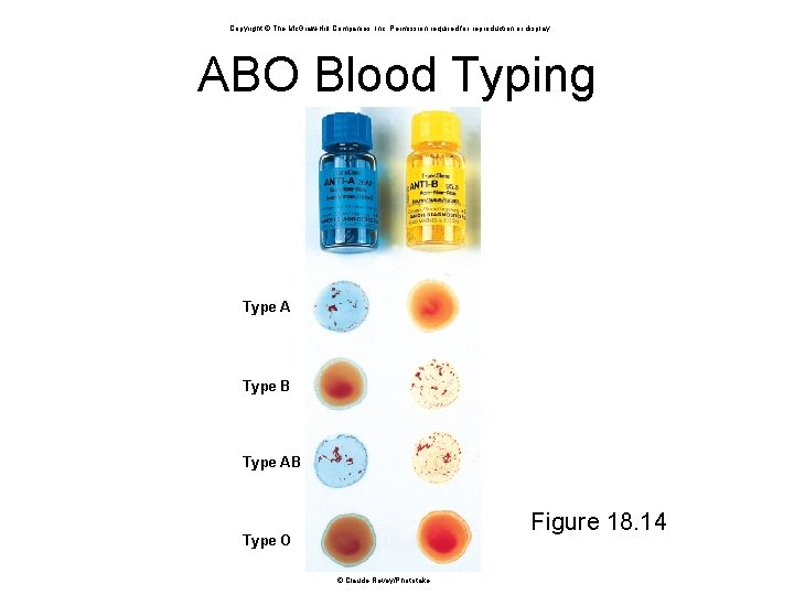 Copyright © The Mc. Graw-Hill Companies, Inc. Permission required for reproduction or display. ABO