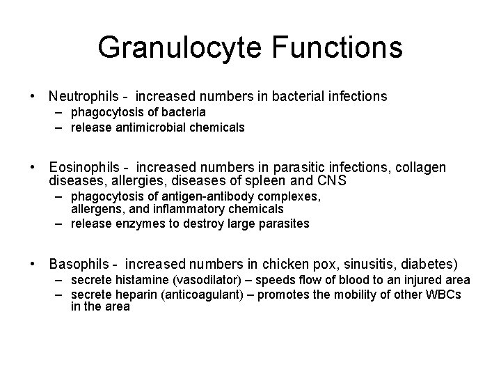 Granulocyte Functions • Neutrophils - increased numbers in bacterial infections – phagocytosis of bacteria