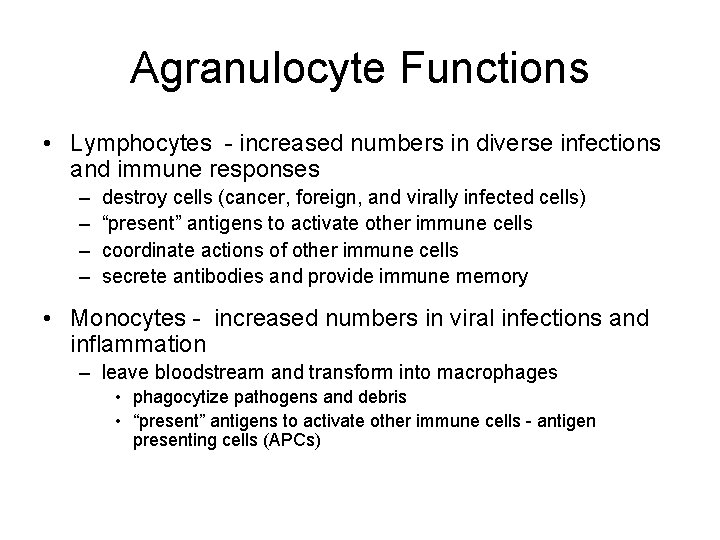 Agranulocyte Functions • Lymphocytes - increased numbers in diverse infections and immune responses –