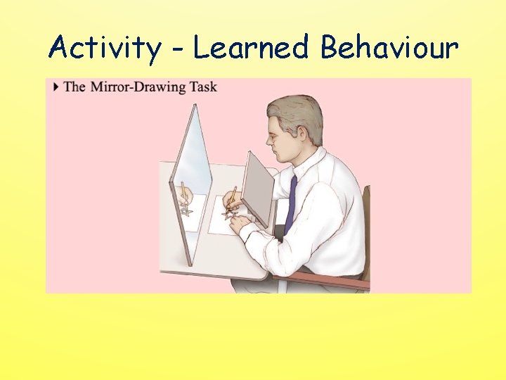 Activity - Learned Behaviour 