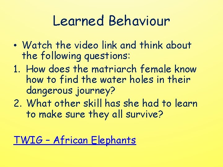 Learned Behaviour • Watch the video link and think about the following questions: 1.