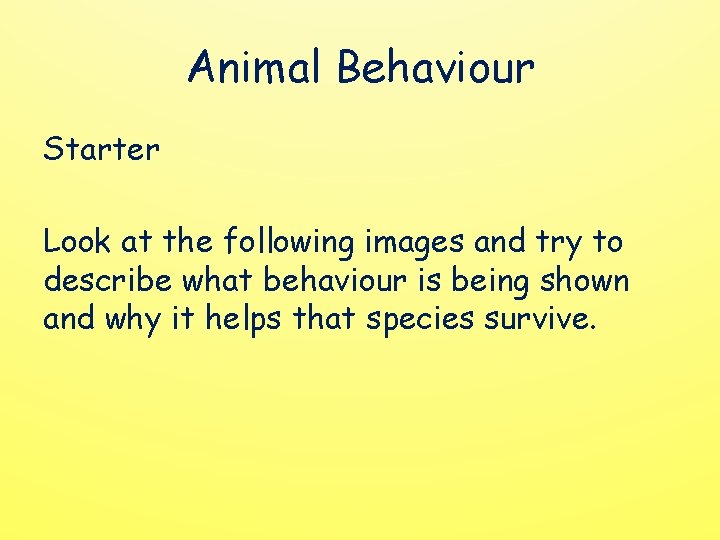 Animal Behaviour Starter Look at the following images and try to describe what behaviour