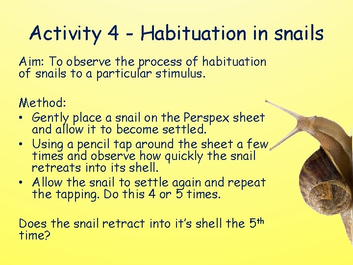 Activity 4 - Habituation in snails Aim: To observe the process of habituation of