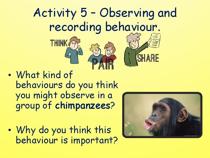 Activity 5 – Observing and recording behaviour. • What kind of behaviours do you