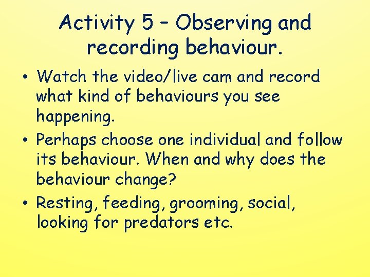 Activity 5 – Observing and recording behaviour. • Watch the video/live cam and record