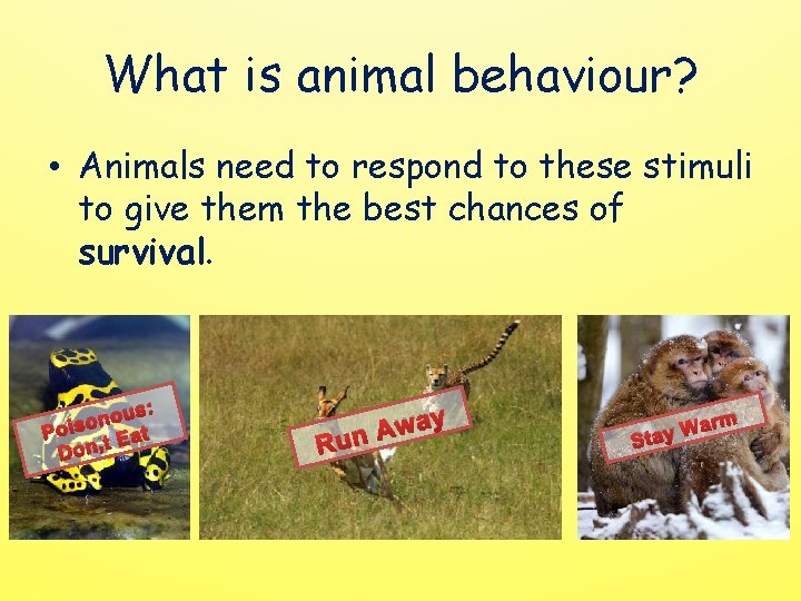 What is animal behaviour? • Animals need to respond to these stimuli to give