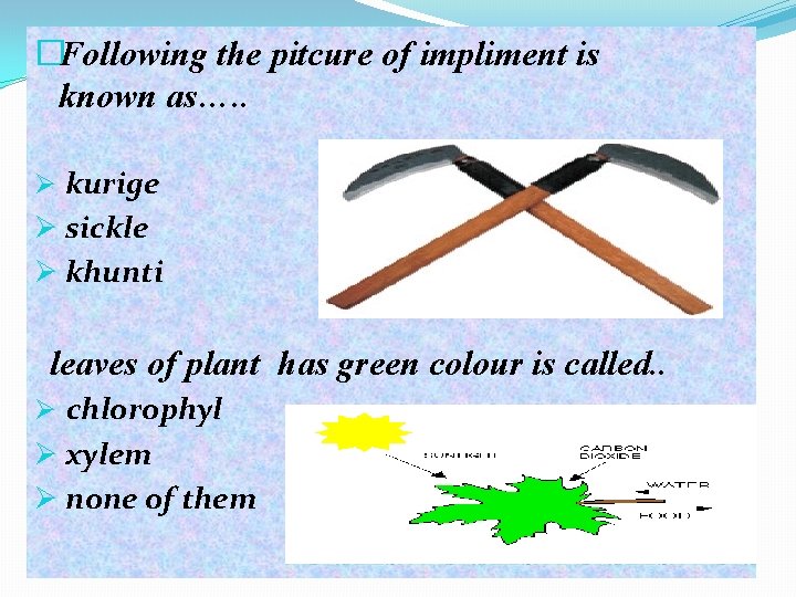 �Following the pitcure of impliment is known as…. . Ø kurige Ø sickle Ø