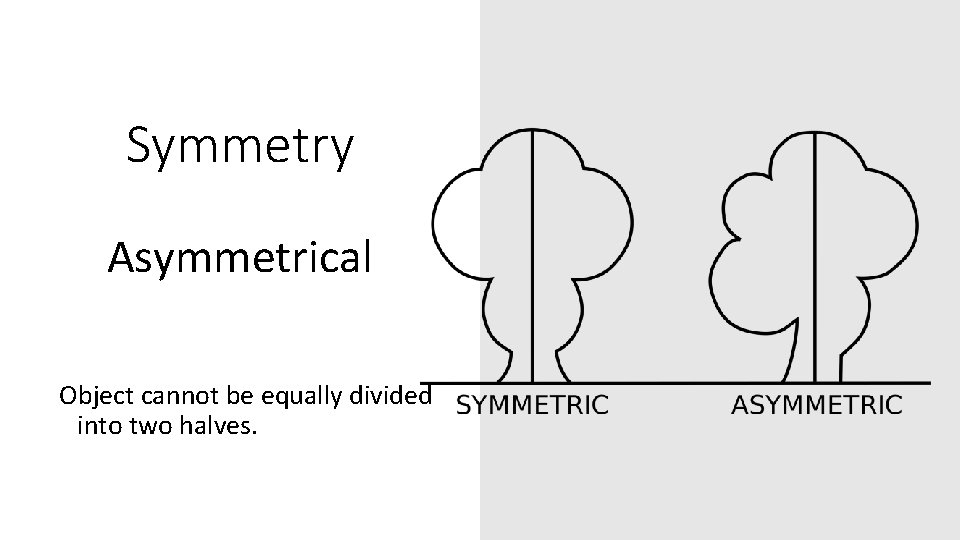 Symmetry Asymmetrical Object cannot be equally divided into two halves. 