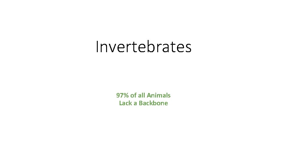 Invertebrates 97% of all Animals Lack a Backbone 